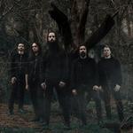 Shores Of Null