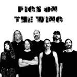 Pigs on the Wing: Super Secret VIP Show!