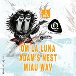 OM LA LUNĂ | Q FEST XI