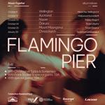 Flamingo Pier Woven Together Tour - NAPIER