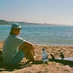 Beach Fly