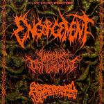 Engorgement x Visions of Disfigurement x EXNX 