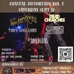 Coastal Distortion 2026
