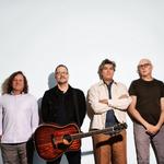 Gin Blossoms