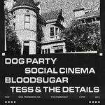 Tess & The Details, Dog Party, Social Cinema, bloodsugar at The Knockout