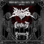 Horror Night & Mosh Fights 
