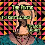 The Pintos + The Constellations + The Loose Lugnuts @ Starlight on 22nd.