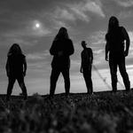Wolves in the Throne Room