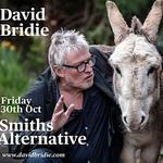 David Bridie, Canberra