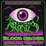 Blood Orchid Live in Lake Worth