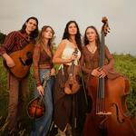 Lucketts Bluegrass