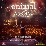 Animal Jazz Big Rock Show 25+1 (Full band)