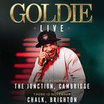 Goldie Live In Brighton