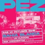 Pez en Box Conciertos