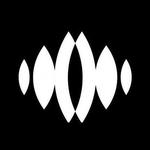 DVS1