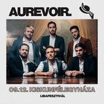 aurevoir. / Kiskunfélegyháza, Libafesztivál / 09.12.