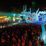 Jungle Experience: Koh Phangan