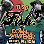 11.20. FISH!, DFW @Klinika, Debrecen