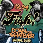 12.04. FISH!, DFW @Bridge, Győr