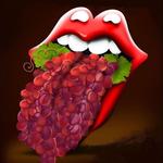 Classic Stones Live @ New Hope (PA.) Winery