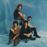 Mystery Jets