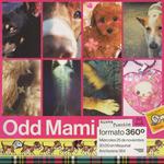 ODD MAMI Formato 360°