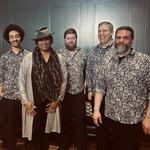 Misty Blues Returns To The Lizzie Rose