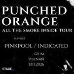 ALL THE SMOKE INSIDE | PUNCHED ORANGE | POZNAŃ | 13.11.2026