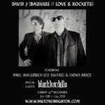 David J w/ Special Guest Paul Wallfisch
