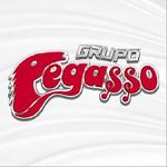 Grupo Pegasso