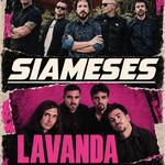 Lavanda Presenta Un Sueño Cercano - Granada