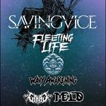 Kingdom Core: Saving Vice, Fleeting Life, and More!