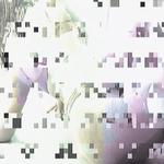 PVA