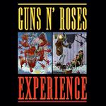 The Guns N' Roses Experience UK