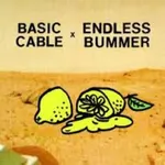 Basic Cable