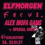 ELFMORGEN und Freunde Vol.8