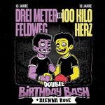 Double Birthday Bash