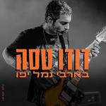 דודו טסה - בהופעה