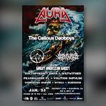 Aura Fest