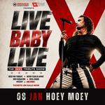 HOEY MOEY | LIVE BABY LIVE THE INXS TRIBUTE SHOW