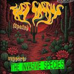 Wet Cactus + Invasive Species