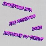 Seb Wildblood pres. all my thoughts