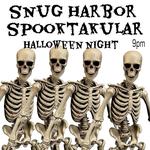 cosmic collective at Snug Harbor
