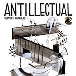 Antillectual + Painhead in St Gallen