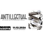 Antillectual in Wiener Neustadt