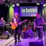 Los Cochinos