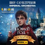 Новый год в Хогвартсе 2027