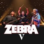 Zebra Live at The Sanctuary