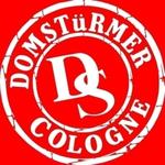 Domstürmer