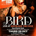 Bird Live At Matblakk The Cove